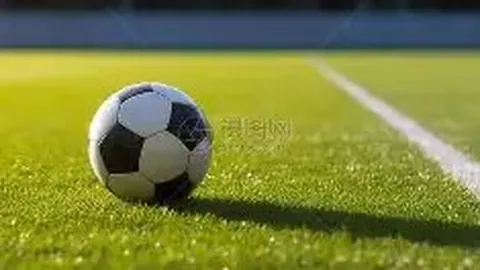 內馬爾歸來桑托斯：再戰巴西前賀地