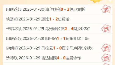 佩裏西奇球衣号码全记录