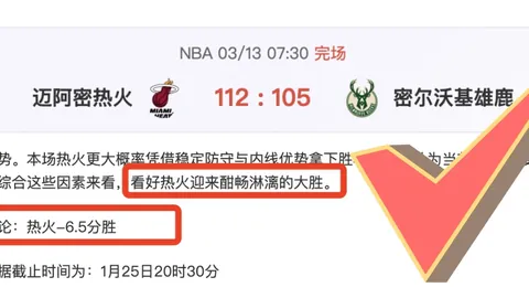 纽卡计划夏窗出售维萨 分成25给布伦特福德